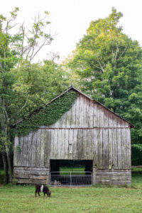 College Grove, TN