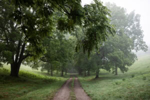 Pulaski Land 2