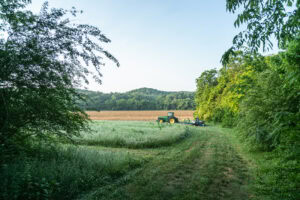Nunnelly, TN Farm