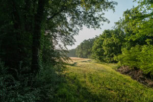 Nunnelly, TN Land