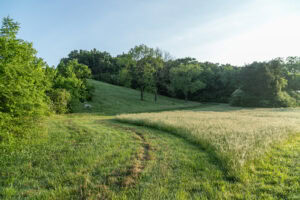 Nunnelly Land 2